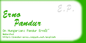 erno pandur business card